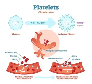 Platelet Count: What is Normal Platelet Count Range by Age