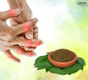 Benefits of Ayurvedic Lepa for Joint Pain