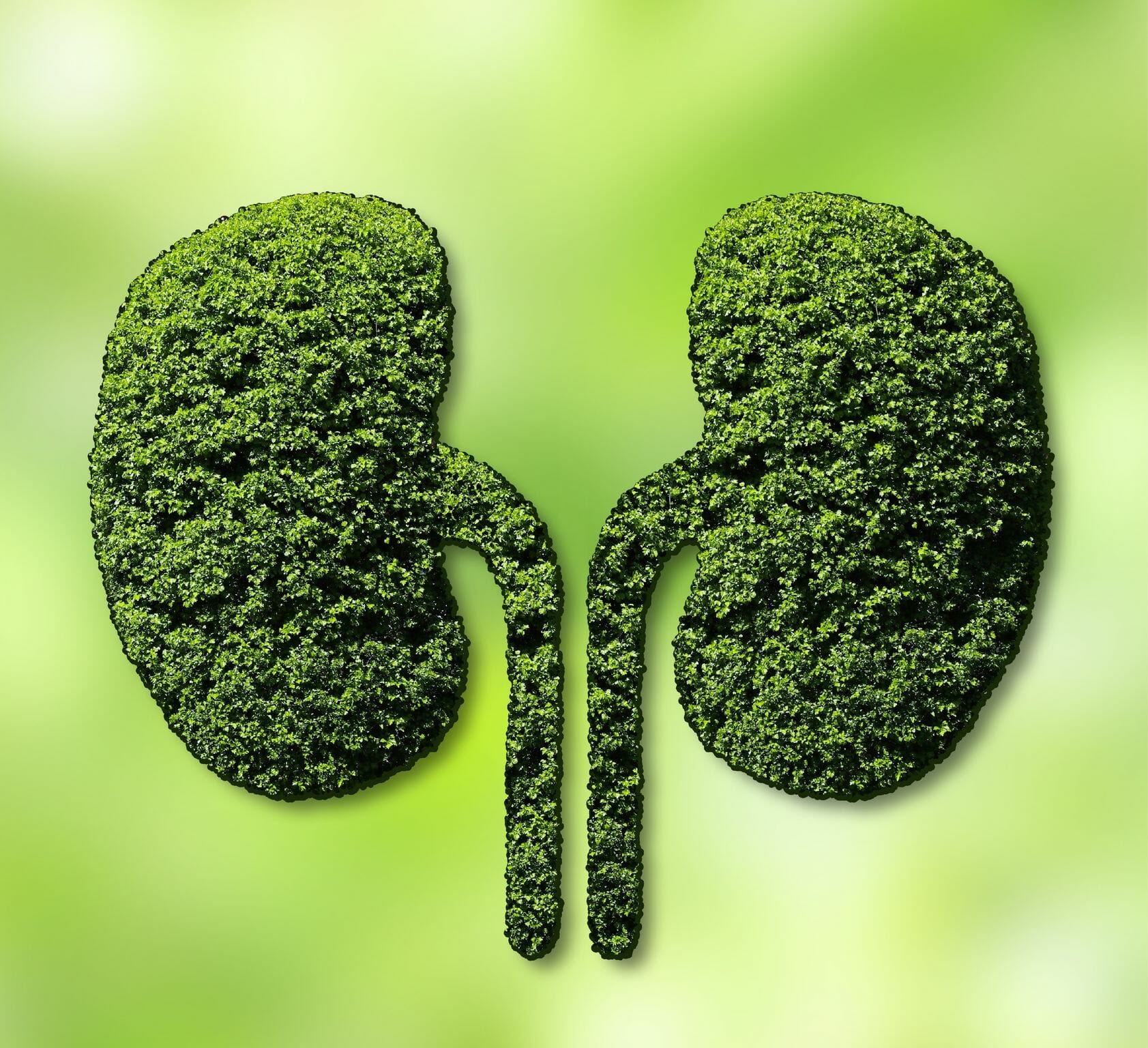 chandanasava syrup uses in hindi