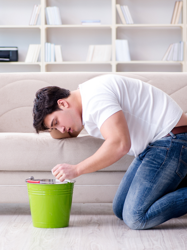 06 Effective Home Remedies for Vomiting