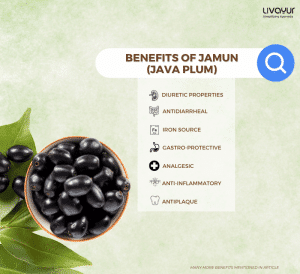 12 Benefits of Java Plum for Overall Health