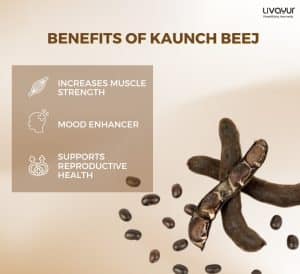 Kaunch Beej: Nutrition, Benefits, Uses, Side Effects & More