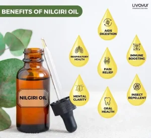 10 Amazing Benefits Of Nilgiri Oil & How To Use It