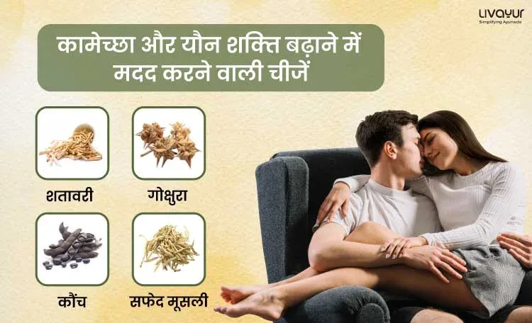 1000-x-608-40kb-02_3_11zon 1000 x 608 40kb 02 3 11zon