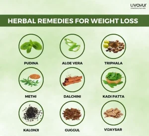 11 Best Ayurvedic Herbs for Weight Loss