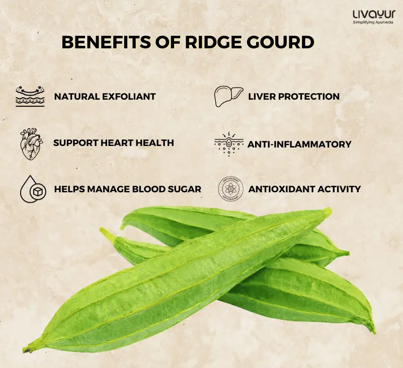 12 Amazing Benefits of Ridge Gourd How to use it 1