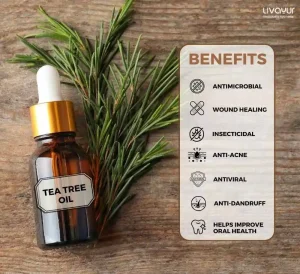 15 Benefits of Tea Tree Oil