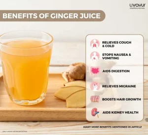 15 Surprising Health Benefits of Ginger Juice & How to Make it