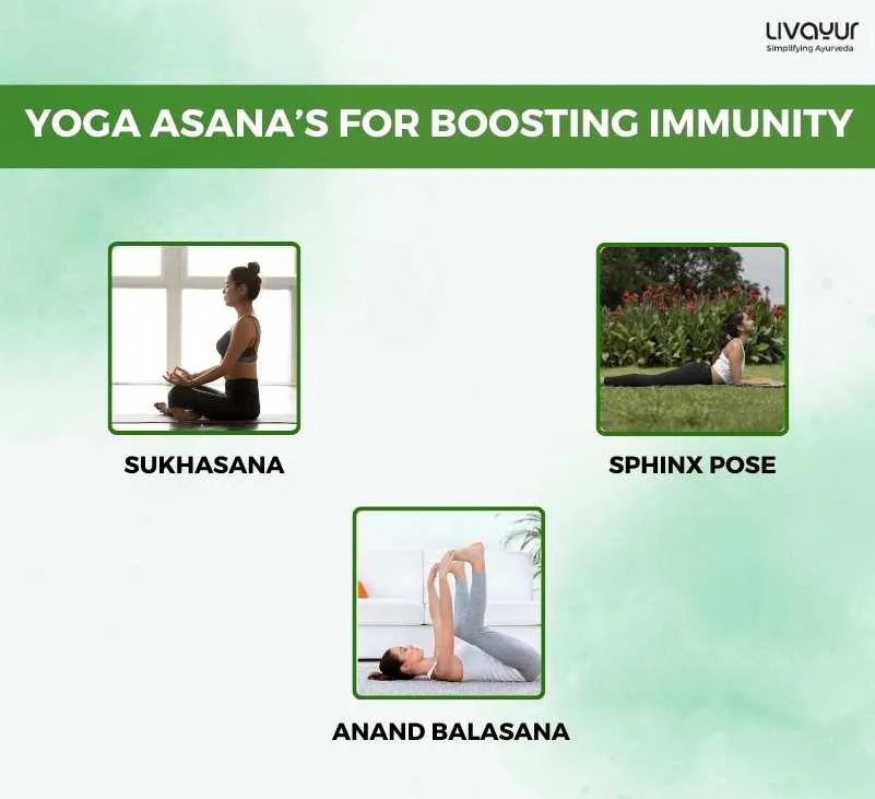 3 Best Yoga Asanas to Boost Your Immunity 1