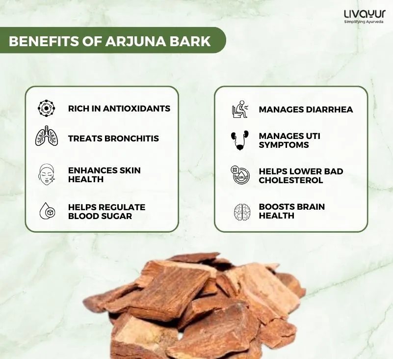 Arjuna Bark: Benefits, Uses, Side Effects & More
