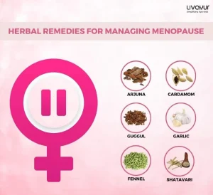 Ayurveda To Manage Menopause