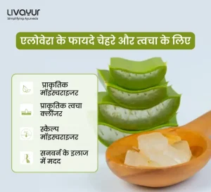 चेहरे और त्वचा के लिए घृतकुमारी(Aloe Vera) के 12 चमत्कारी फायदे