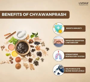 Chyawanprash: The World’s Oldest and Most Effective Immunity Booster