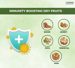 Consume Dry Fruits & Nuts to Boost Your Immunity