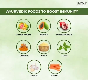 How Does an Ayurvedic Diet Enhance Immunity Powers?