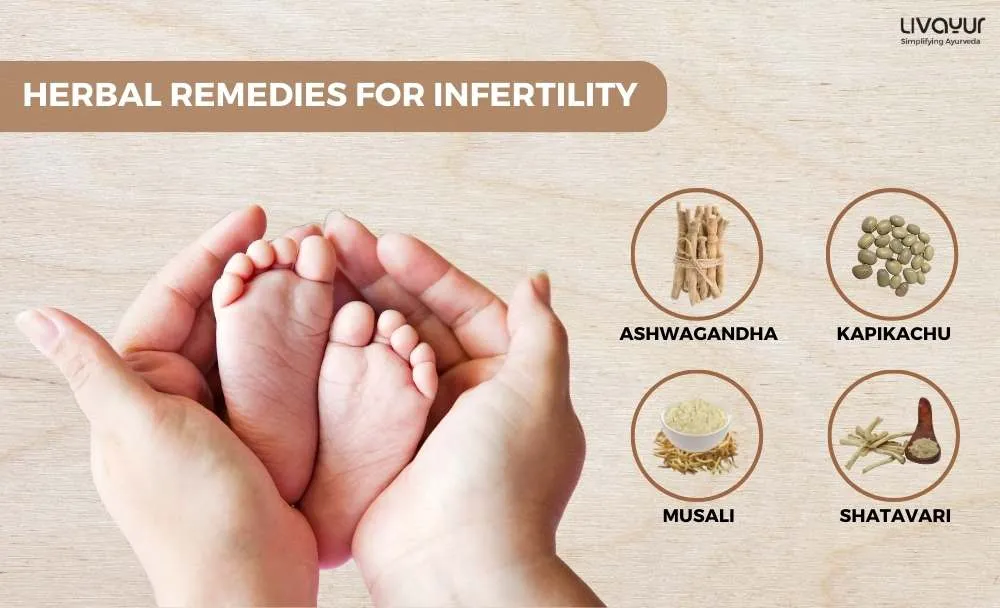 ayurvedic treatment for infertility ayurvedic treatment for infertility