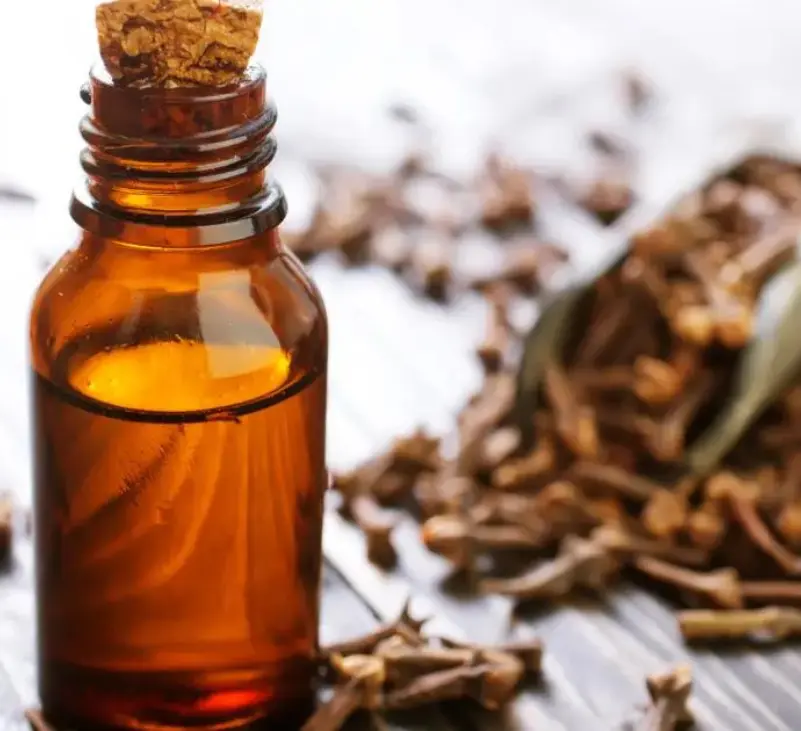 Livayur-blog-image-dimension-1-1 Ayurvedic Oils