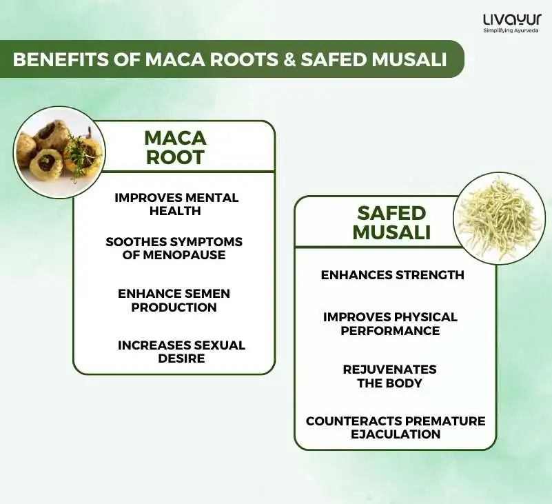 Maca Safed Musli Benefits For Increased Sexual Power 1