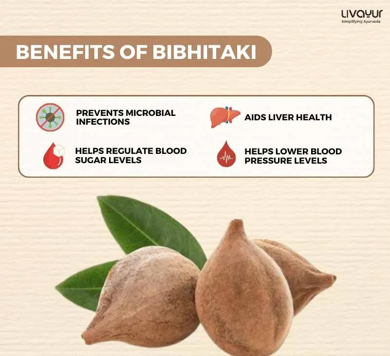 The Many Health Benefits of Bibhitaki