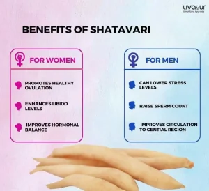 The Ultimate Natural Supplement for Fertility & Reproductive Wellness – Shatavari