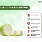 white pumpkin - livayur