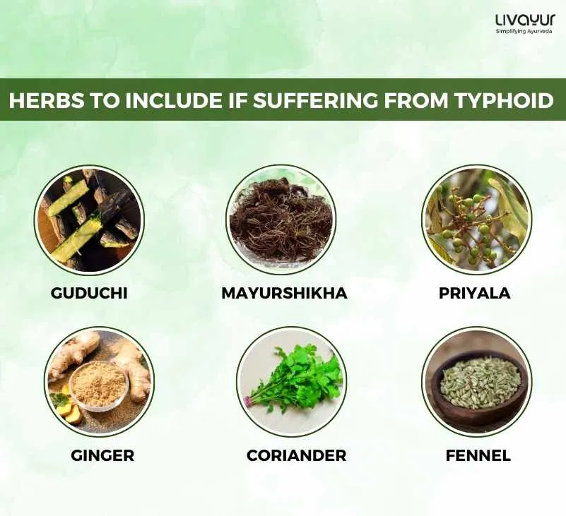 Typhoid Diet: What to eat and What to Avoid in Typhoid