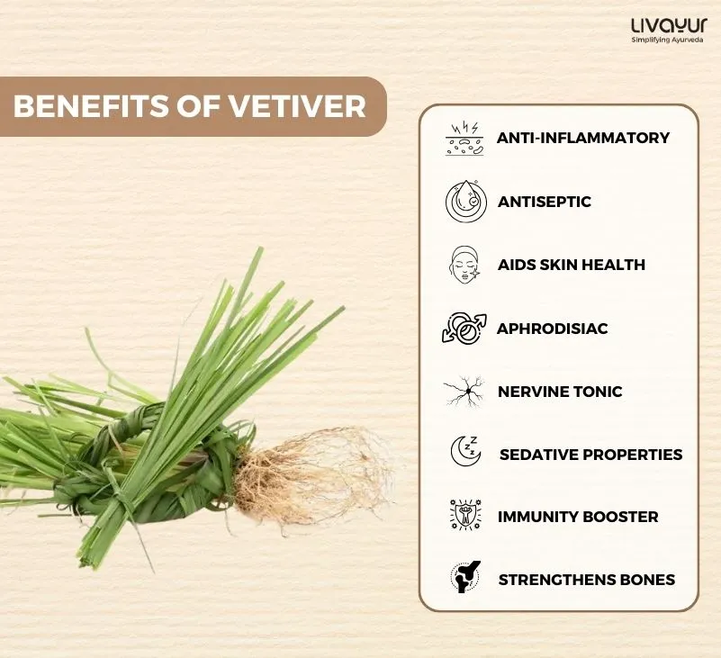 Vetiver What Is It Benefits Uses Dosage Side Effects Precautions More 1