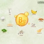 vitamin b12 foods