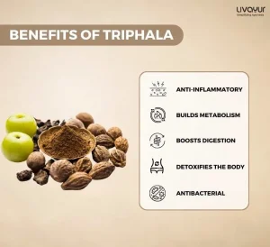 What Makes Triphala The Perfect Remedy To Support Weight Loss