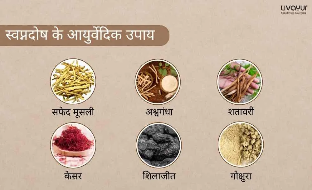 नाईट फॉल स्वप्नदोष क्यों होता है जाने इसका कारन और इलाज (2)_10 नाईट फॉल स्वप्नदोष क्यों होता है जाने इसका कारन और इलाज 2 10