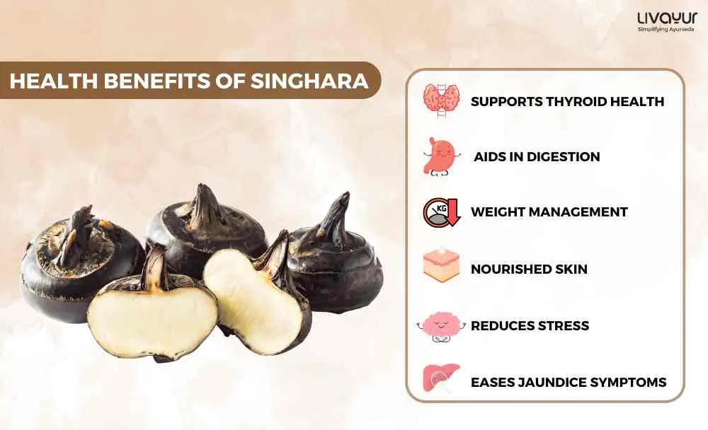 7 Nutritional & Health Benefits of Singhara (2)_11zon 7 Nutritional Health Benefits of Singhara 2 11zon