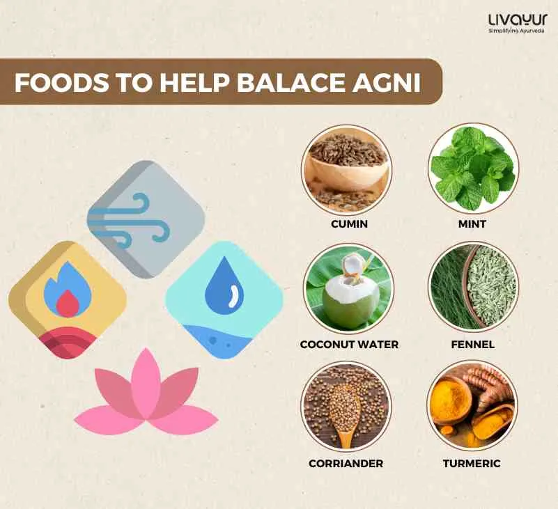 Ayurvedic Dietary Recommendations for Balancing Agni During the Summer Months