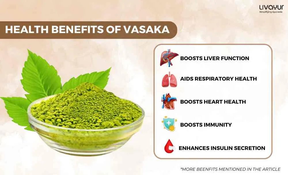 Discover the Health Benefits of Vasaka And How to Use It (1)_11zon Discover the Health Benefits of Vasaka And How to Use It 1 11zon