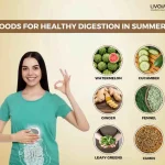 Mindful Eating in Summer: Ayurvedic Strategies for Healthy Digestion