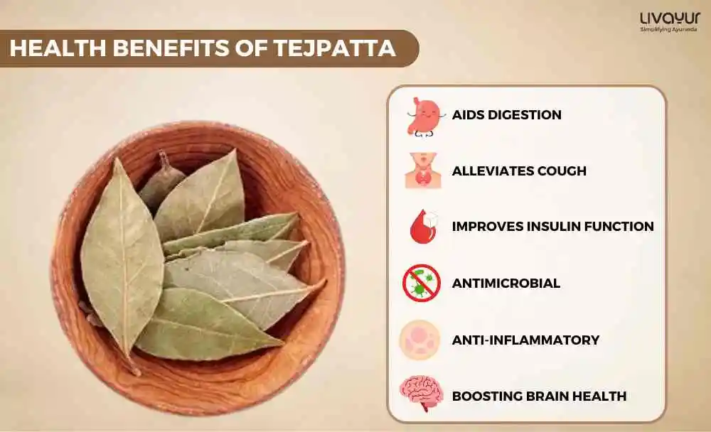 Tejpatta Benefits, Nutritional Value, Uses and More (1) Tejpatta Benefits Nutritional Value Uses and More 1