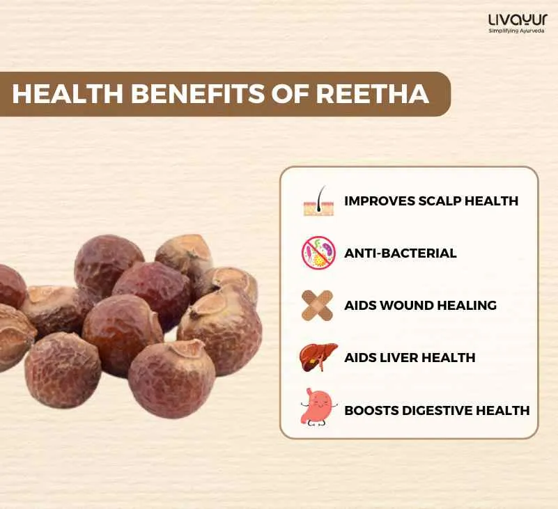 Discover The Incredible Benefits Of Reetha And Its Uses 11zon