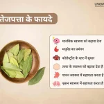 तेजपत्ता पर ब्लॉग पेज: स्वास्थ्य लाभ, पोषण मूल्य और उपयोग के बारे में जानें
