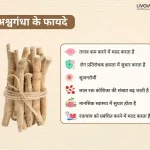 दूध के साथ अश्वगंधा के बेहतरीन स्वास्थ्य लाभ