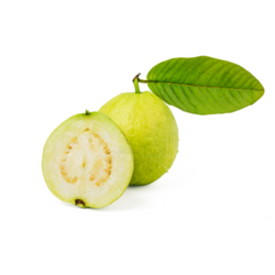 Guava
