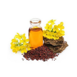 Mustard Oil